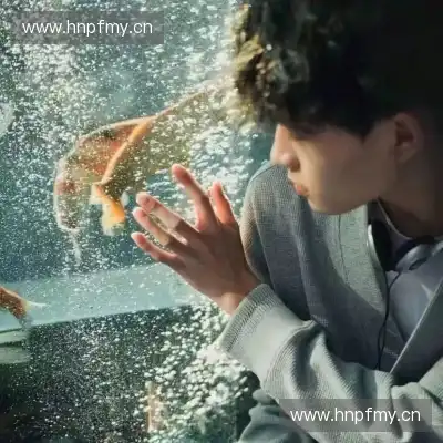 沈恋真
